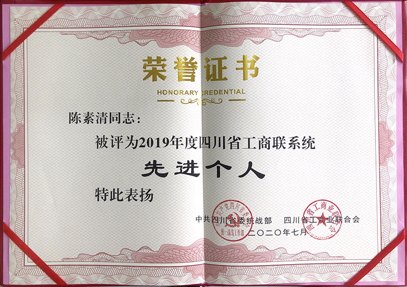 1608512782497063674.jpg 2020.7 四川省工商聯(lián)系統(tǒng)先進(jìn)個(gè)人.jpg